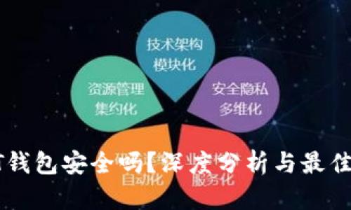 个人USDT钱包安全吗？深度分析与最佳保护措施