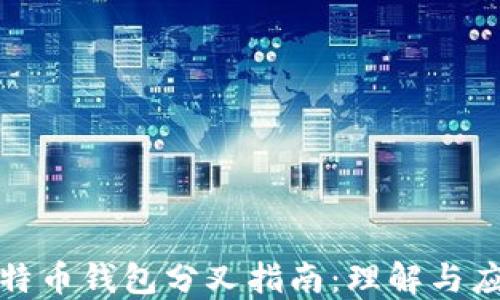 
比特币钱包分叉指南：理解与应对