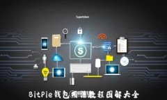 BitPie钱包用法教程图解大