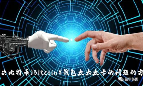 解决比特币（Bitcoin）钱包太大太卡的问题的方法