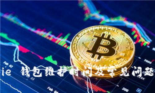 Bitpie 钱包维护时间及常见问题解答