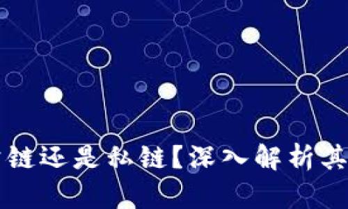 比特派是公链还是私链？深入解析其本质与应用