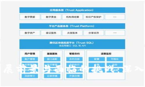 区块链的发展前景与面临的挑战：深入分析与展望