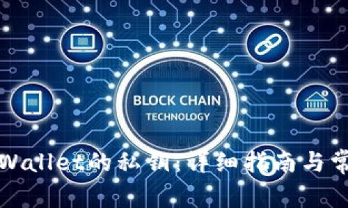 如何找回tpWallet的私钥：详细指南与常见问题解答