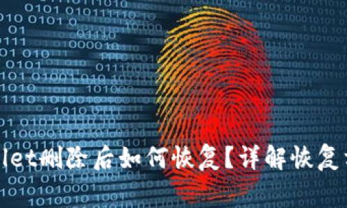 安卓手机tpWallet删除后如何恢复？详解恢复方法与注意事项