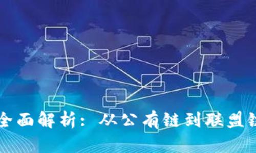 区块链模式的全面解析: 从公有链到联盟链的多样性探索