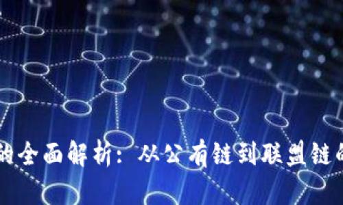 区块链模式的全面解析: 从公有链到联盟链的多样性探索