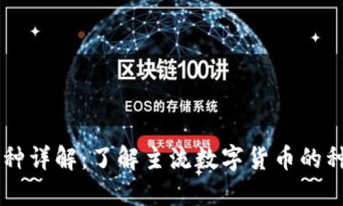 区块链币种详解：了解主流数字货币的种类与应用