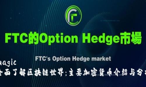 magic
全面了解区块链世界：主要加密货币介绍与分析