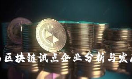 : 阳西区块链试点企业分析与发展现状