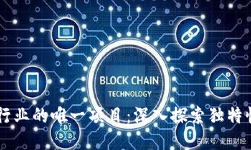 区块链行业的唯一项目：深入探索独特性与潜力