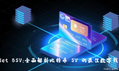 tpWallet BSV：全面解析比特币 SV 的最佳数字钱包选择