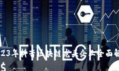 2023年抖音区块链龙头企业全面解析