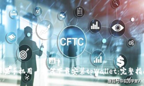 苹果手机用户如何下载安装tpWallet：完整指南