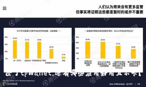 除了tpWallet，还有哪些应用好用且不卡？